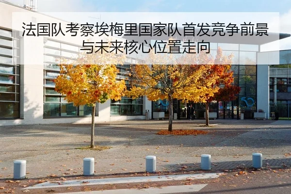 法国队考察埃梅里国家队首发竞争前景与未来核心位置走向