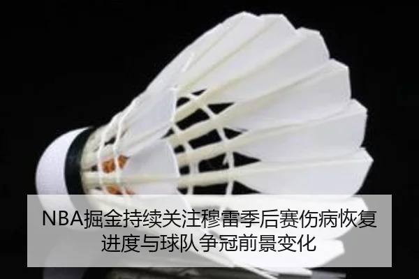 NBA掘金持续关注穆雷季后赛伤病恢复进度与球队争冠前景变化